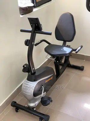 Recumbent Bike (Bike) B978