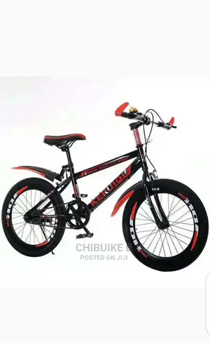 Adult Bicycle Size 22