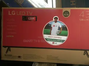 43 Inches LG Original Tv With Audio Usb