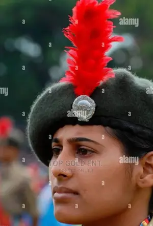 Ceremonial P. Cap Feather/Plum