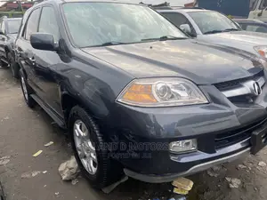 Acura MDX 2006 Gray