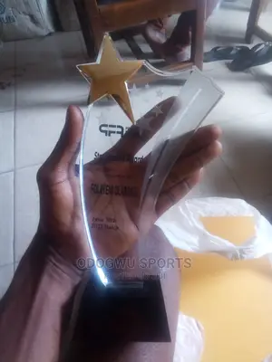 Transparent/ Glass Award Plaque 517