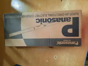 Panasonic Boom Mic