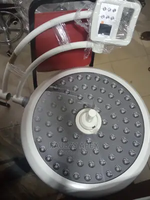 Theatre Lamp Ceiling Mounted