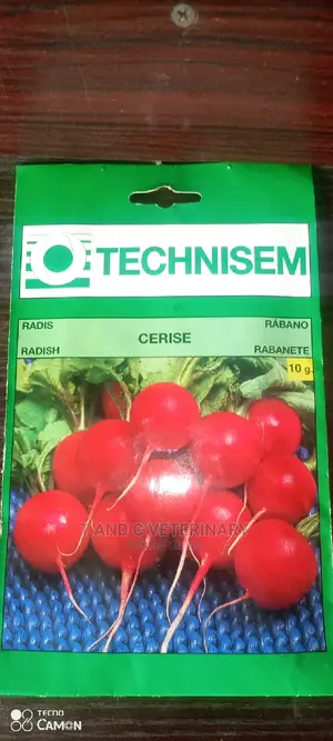 Radish Seeds 10g