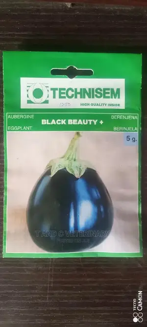 Eggplant Seeds F1 Kalender