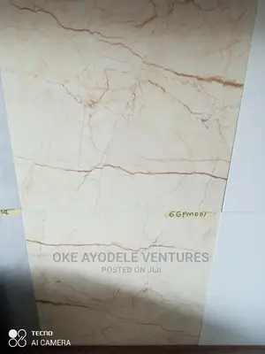 60/60 Floor Tiles Available