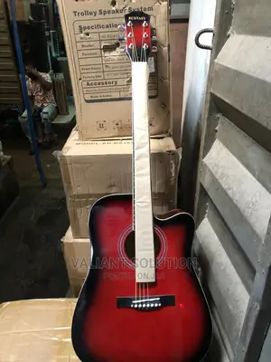 Guitar Semi Acoustic