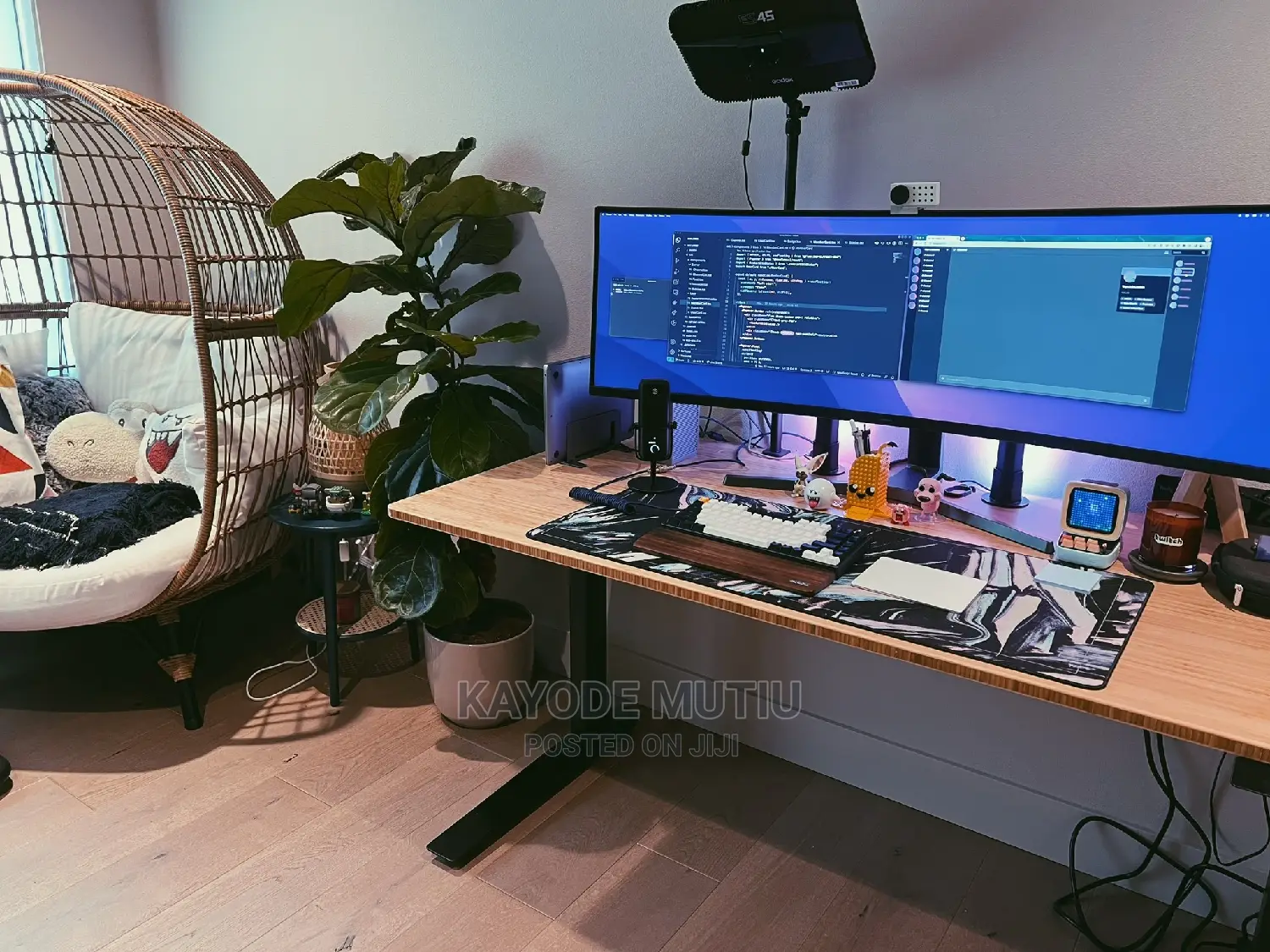 Website Developer/Mobile App Developer