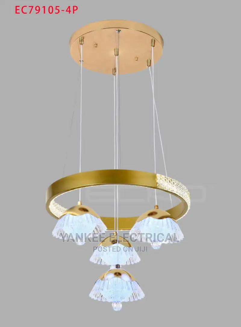Quality Led Dropping Light