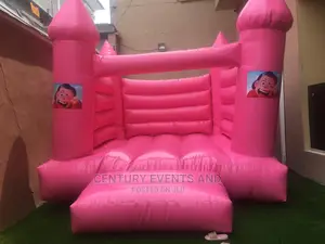 Pink Bouncy Castle