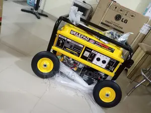 Elepaq Constant 11kva Automatic Generator,100%Copper