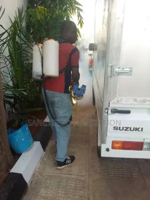 Mosquito Fumigation Expert