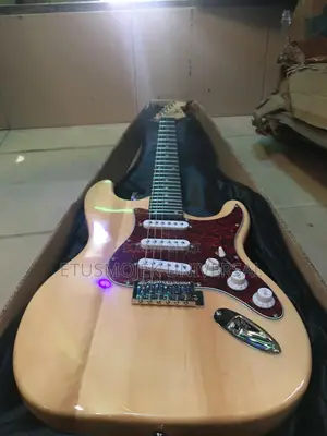 Professional Lead Guitar/24 Flets