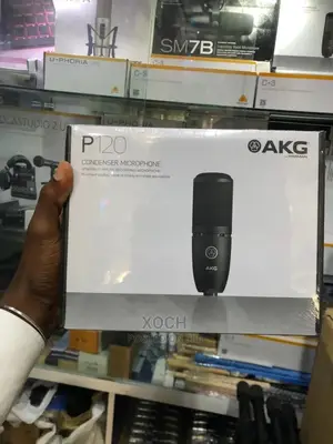 High-Performance General Purpose Recording Mic Akg P120
