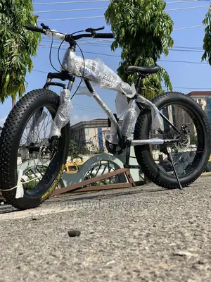 Big Tyre Bicycle T21