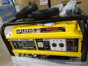Elepaq 11kva 100% Copper Automatic Generator