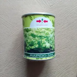 Lettuce Seeds Rapido 344