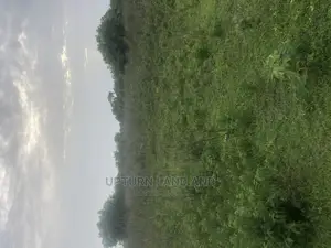 Uprooted 100 Acres of Land for Sale at a Very Good Location