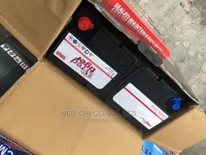 Quality Turkey Battery 12volt 100ahs for Benz