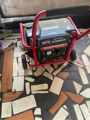 Bison Power Generator Set-3.5kw