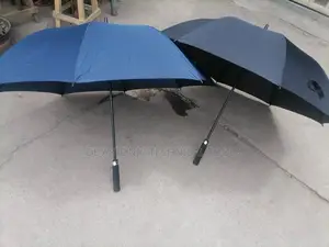 Black and Blue Umbrella