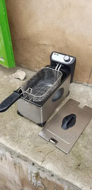 Electric Deep Fryer