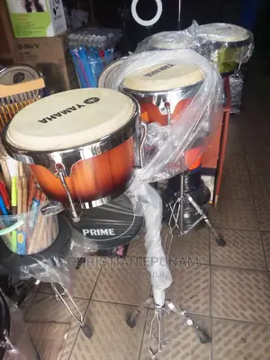 Bongo Conga