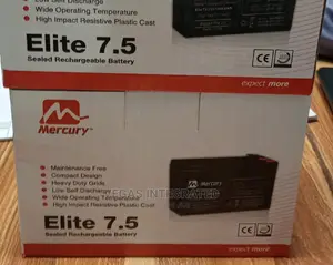 UPS Battery