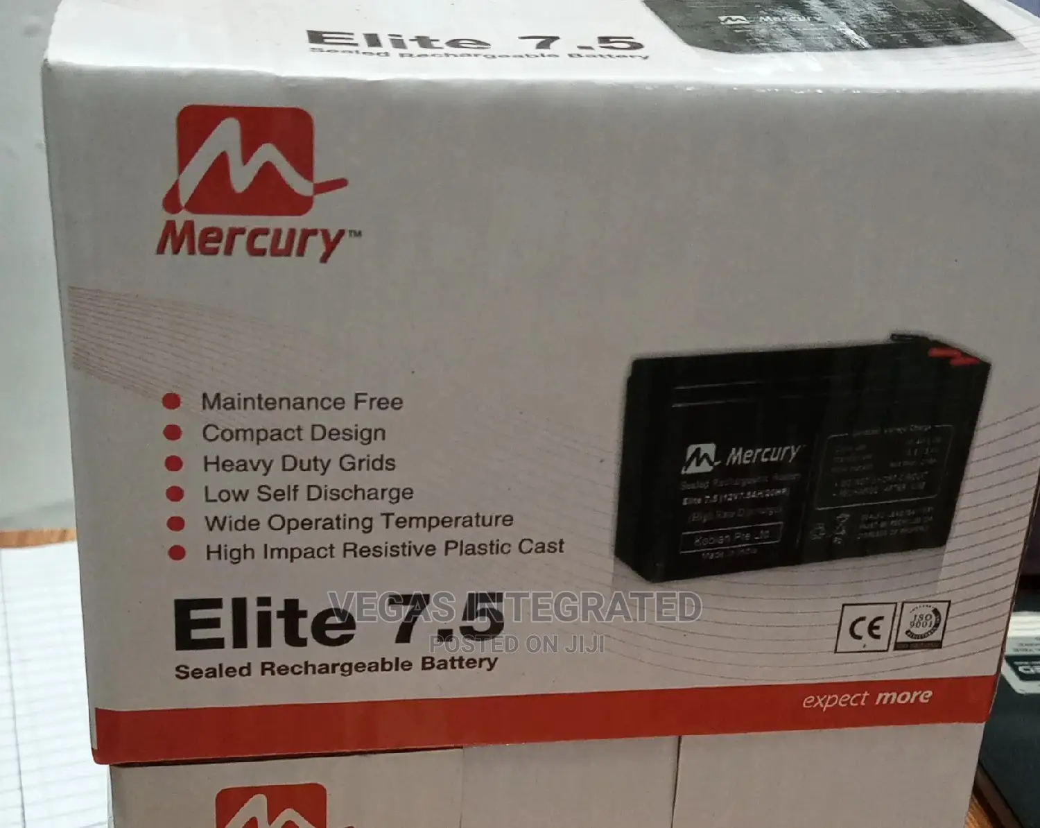 UPS Battery