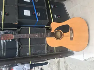Acoustic Guitars