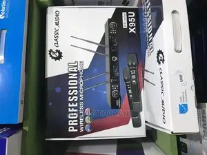 2 in 1 Wireless Microphone