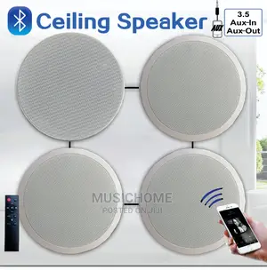 Big Bluetooth Ceiling Speaker With Remote, USB And Aux