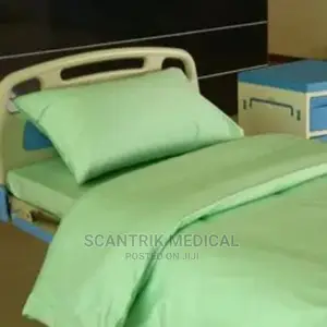 Portable Reusable Bed Sheet and Pillows Washable