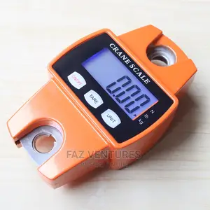300kg Digital Hanging Scale