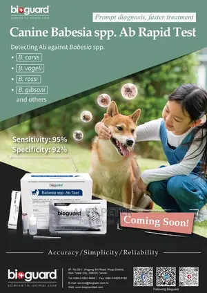 Vet Doctor