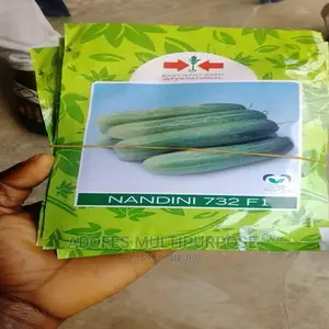 Cucumber Seed Nandini F1 10G