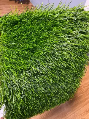 Artificial Grass Carpet