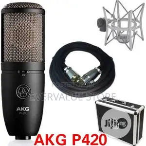 AKG P420 Studio Microphone