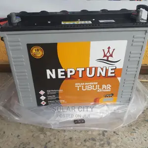 Neptune Battery 12v 220ah