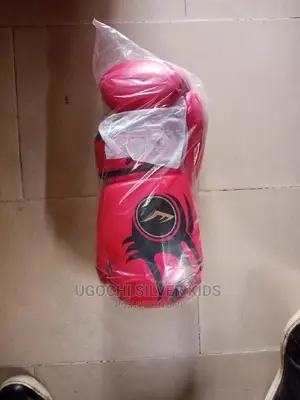 Great Everlast Boxing Glove
