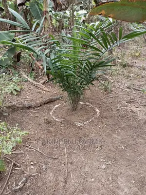 Farm Set-Up Management.