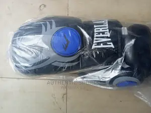 Everlast Adults Boxing Gloves