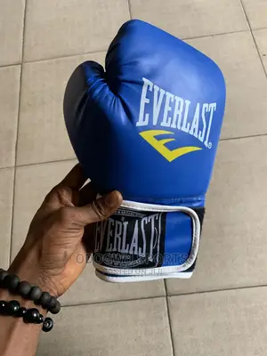 Everlast Boxing Glove
