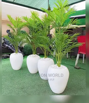 Palm  Plants and Vase