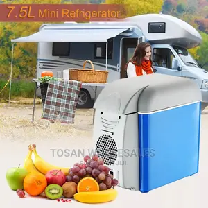 Mini Portable Car Fridge