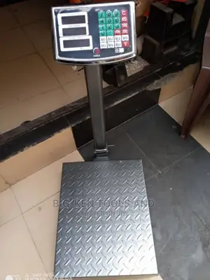 100kg Eagle Electronic Scale