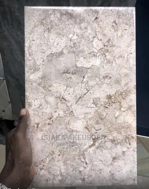 30 X 60 New Design of v Wall or Floor