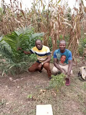 Agricultural Contract Execution.