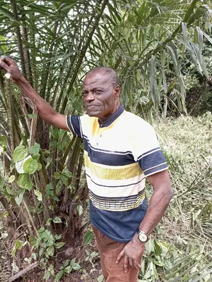 Farm Managers/Workers Recruitment Services